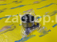 24410-2X701 Ролик ГРМ GMB Spectra | Rio